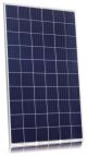 275W Jinko Eagle Polycrystalline Solar Panel