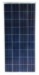 150W Risen Polycrystalline Solar Panel